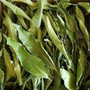 Mango Leaves (2oz.)