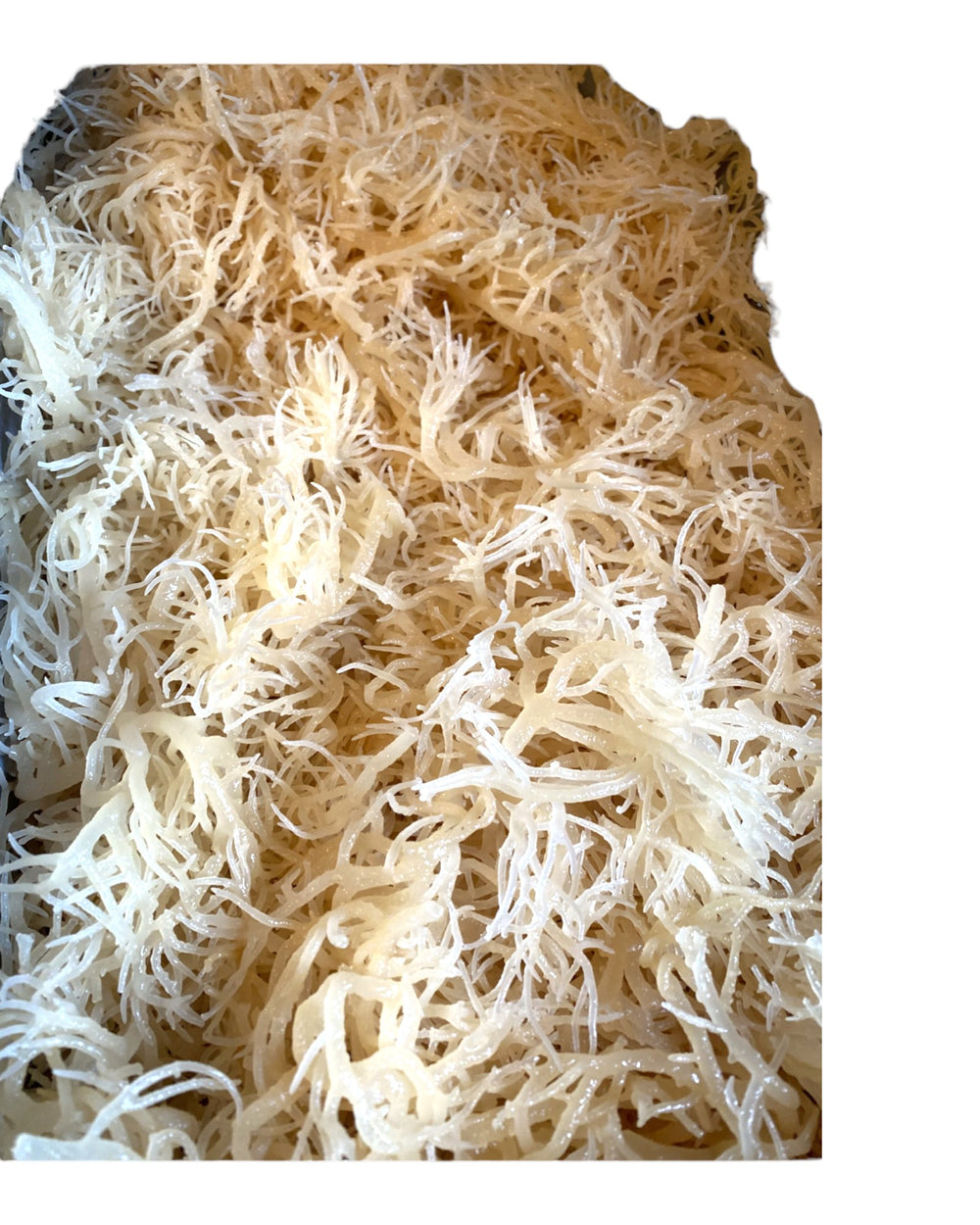 Raw Wildcraft Seamoss - Tailor Made Herbal Products