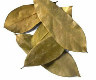 Soursop Leaves(2oz.) - Tailor Made Herbal Products